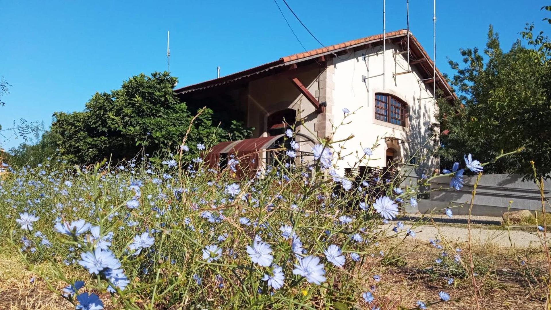 Albergue & Cafeteria Via De La Plata Hervás Exterior foto